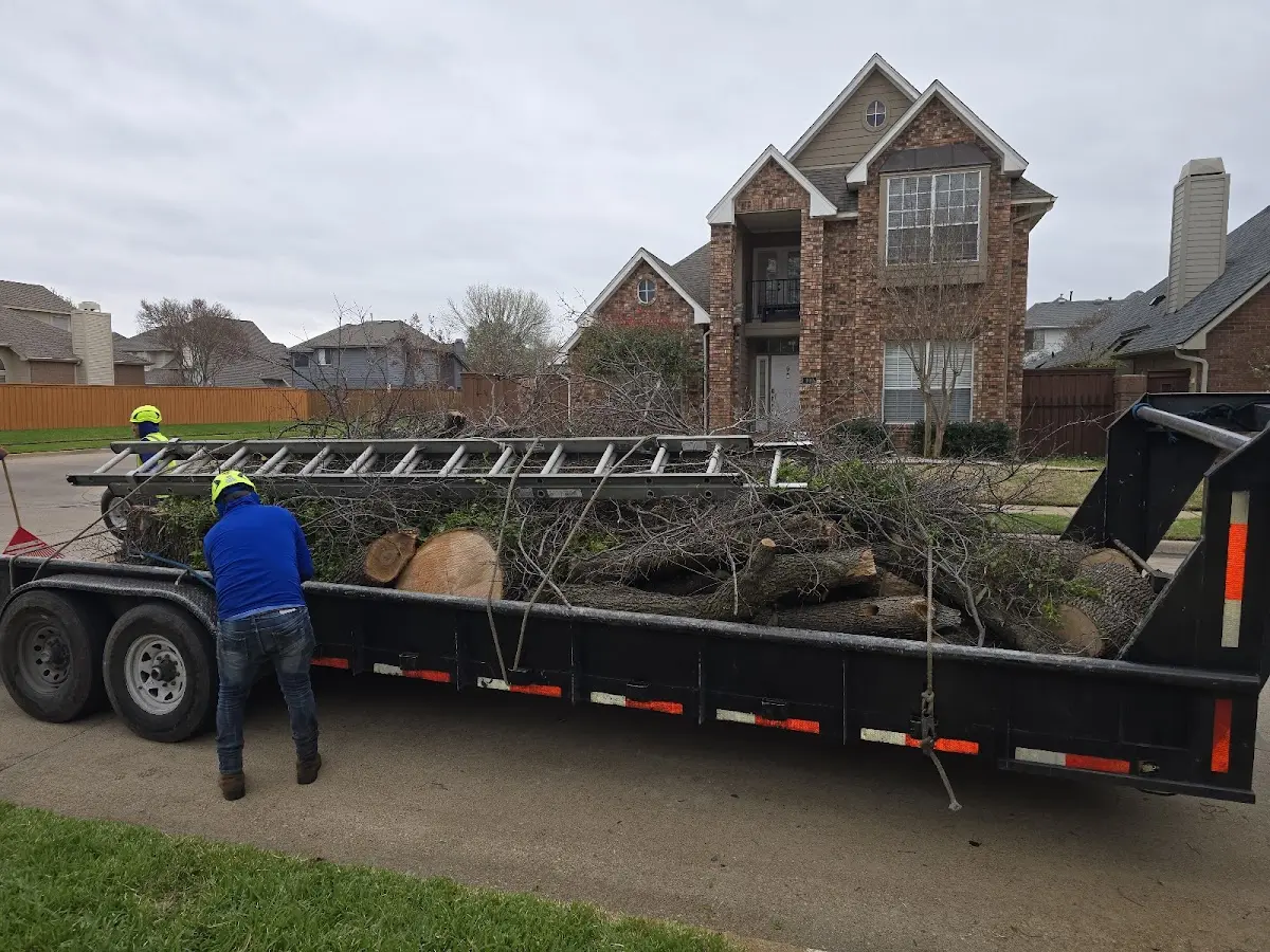 Expert Lot Clearing with proper safety equipment in Blanco
